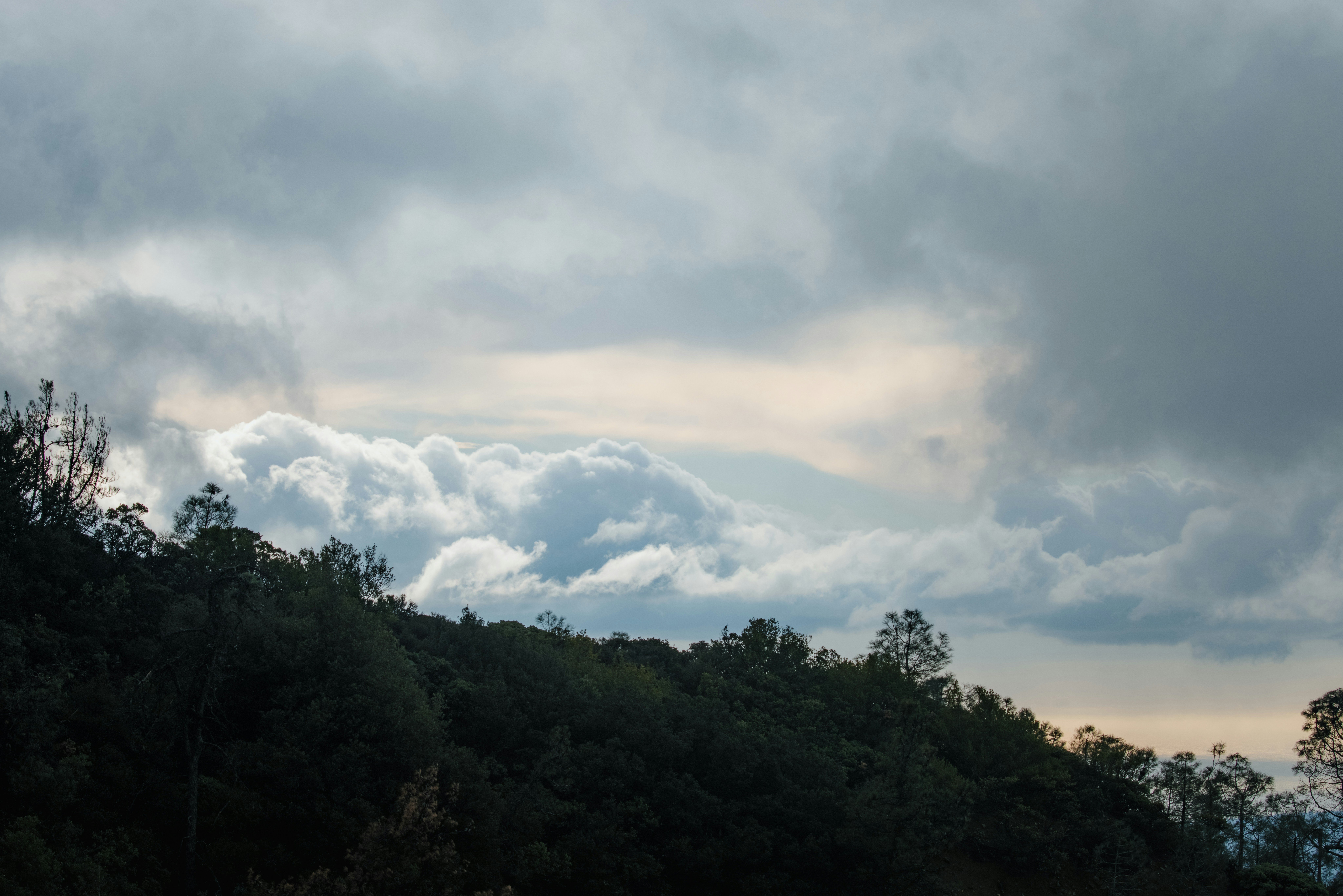 jason-leung-nJKQSXq7cpE-unsplash